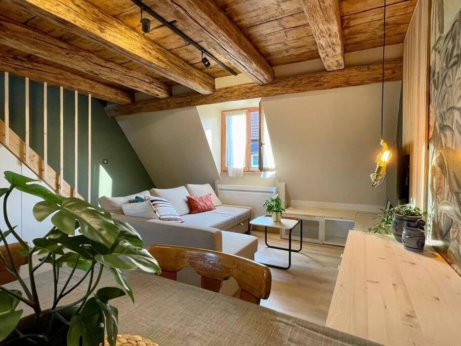 L'Eden Du Vignoble - Centre Historique De Barr Apartment Екстериор снимка